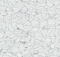 Кварцвиниловые полы Forbo Colorex EC EC 250203 kilimanjaro фото 1 | FLOORDEALER